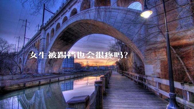 女生被踢裆也会很疼吗?