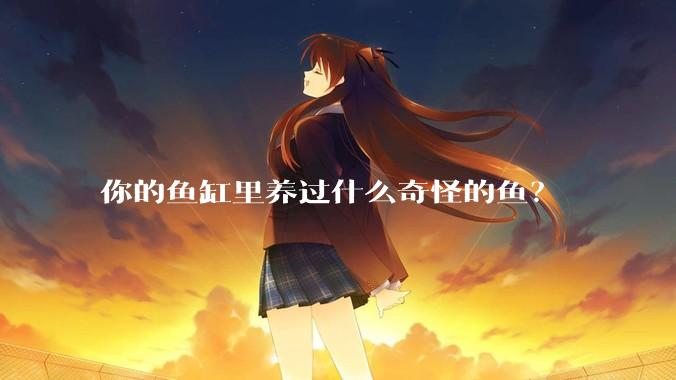 你的鱼缸里养过什么奇怪的鱼?