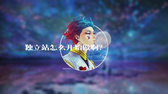 独立站怎么开始做啊?
